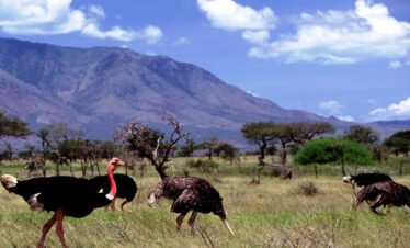 KIDEPO VALLEY NATIONAL PARK